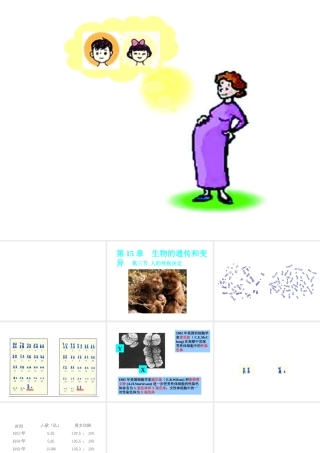 八年级生物上册 15.3人的性别决定课件1 苏教版