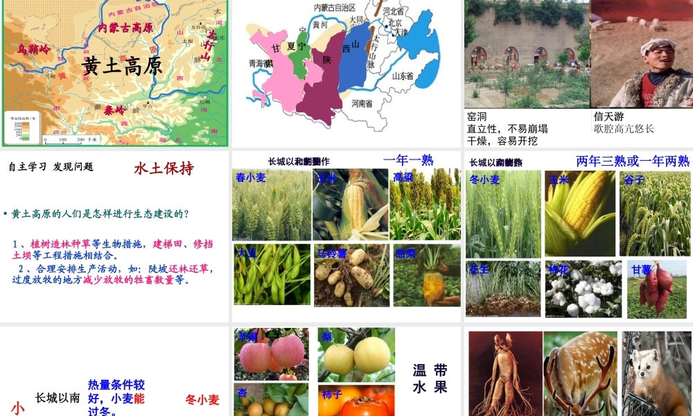 八年级地理下册 第六章 北方地区复习课件 新人教版