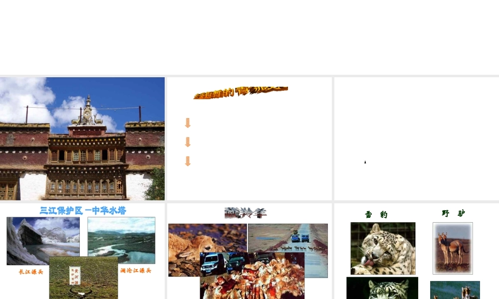 八年级地理下册 第五章 第三节《西北地区和青藏地区》课件 新人教版