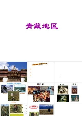 八年级地理下册 第五章 第三节《西北地区和青藏地区》课件 新人教版