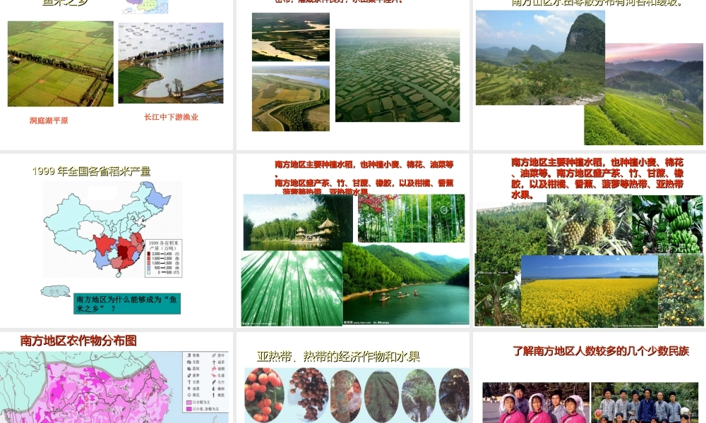 八年级地理下册 第七章 南方地区 第一节 自然特征与农业课件 （新版）新人教版