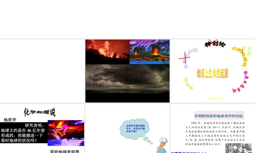 八年级生物上册 16.1 生命的诞生课件 （新版）苏教版-（新版）苏教版初中八年级上册生物课件