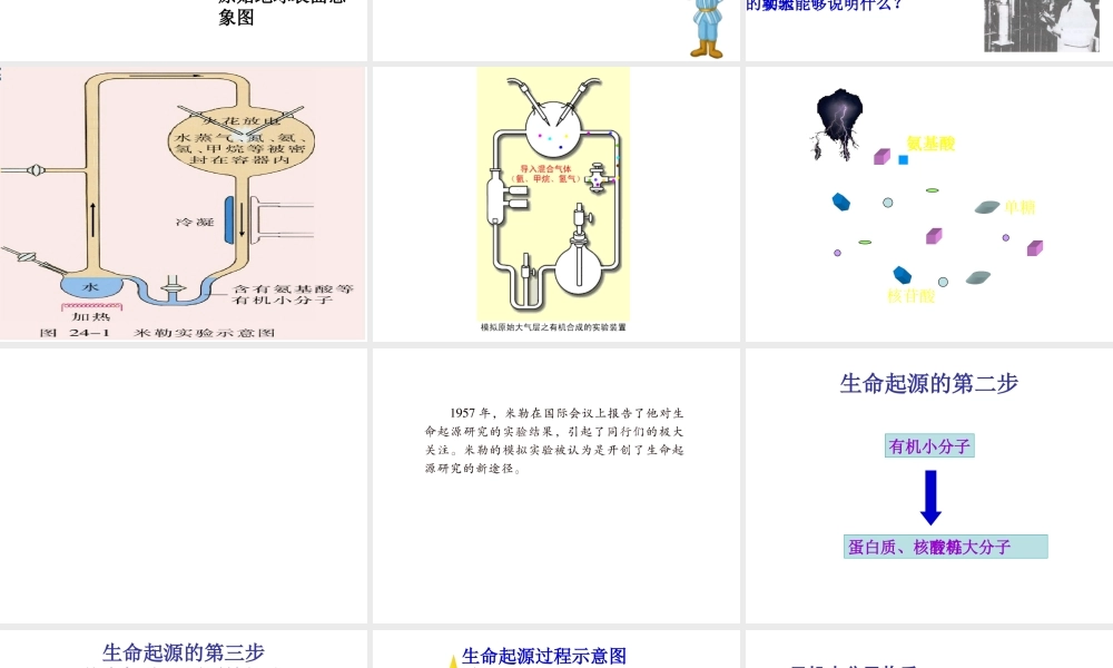 八年级生物上册 16.1 生命的诞生课件 （新版）苏教版-（新版）苏教版初中八年级上册生物课件