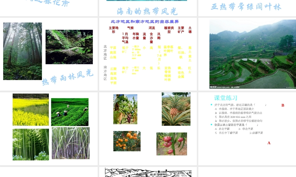 八年级地理下册 第七章 南方地区 第一节 自然特征与农业课件