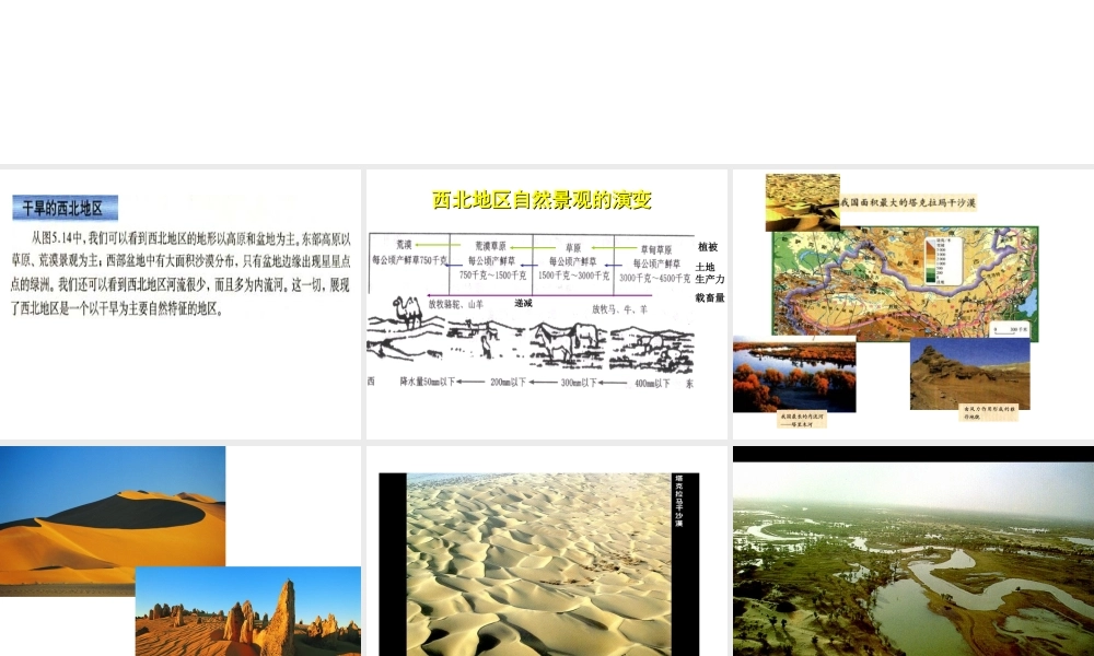 八年级地理下册 第五章 第三节《西北地区和青藏地区》课件2 （新版）湘教版