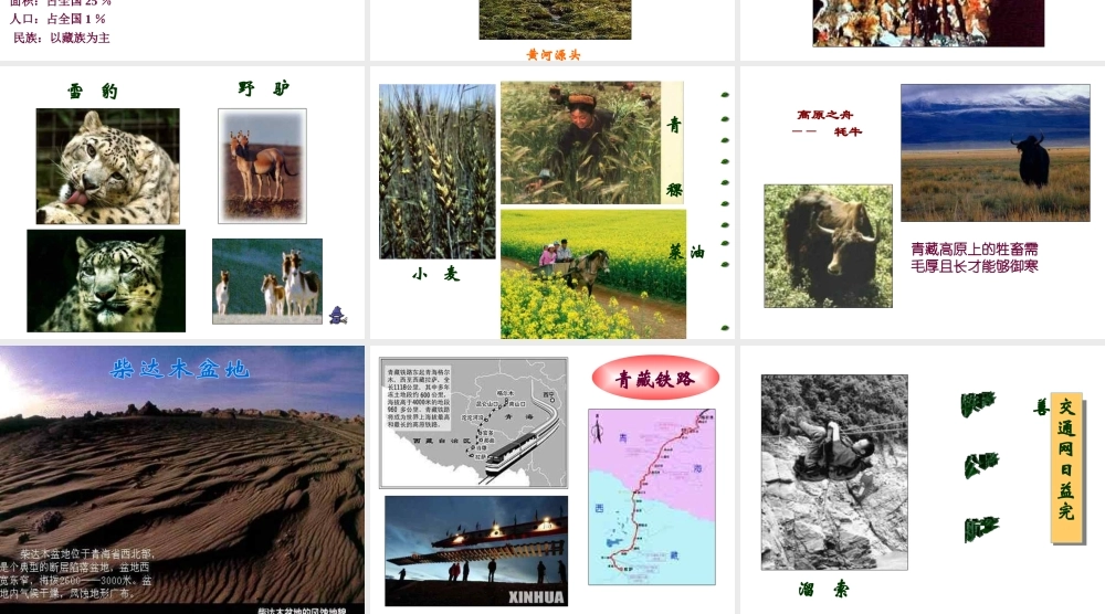 八年级地理下册 第五章 第三节《西北地区和青藏地区》课件3 （新版）湘教版