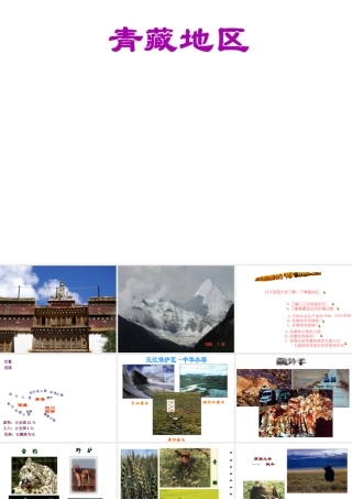 八年级地理下册 第五章 第三节《西北地区和青藏地区》课件3 （新版）湘教版