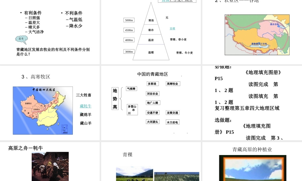 八年级地理下册 第五章 第五节 青藏地区-高寒的土地课件 粤教版-粤教版初中八年级下册地理课件