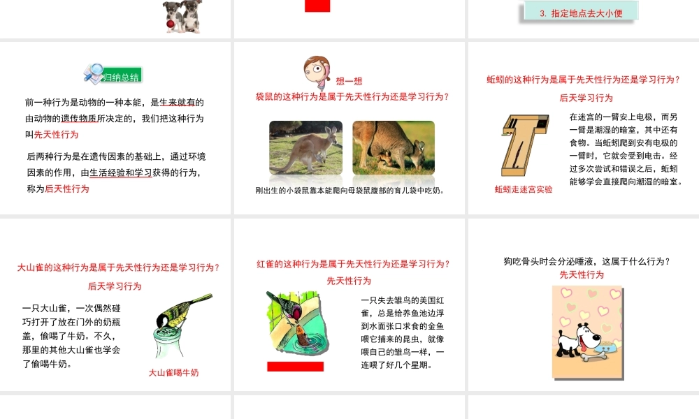八年级生物上册 16.1 先天性行为和后天学习行为课件（1）（新版）北师大版-（新版）北师大级上册生物课件