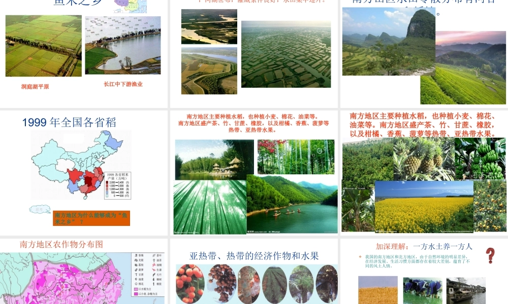 八年级地理下册 第一节 南方地区自然特征与农业课件 （新版）新人教版