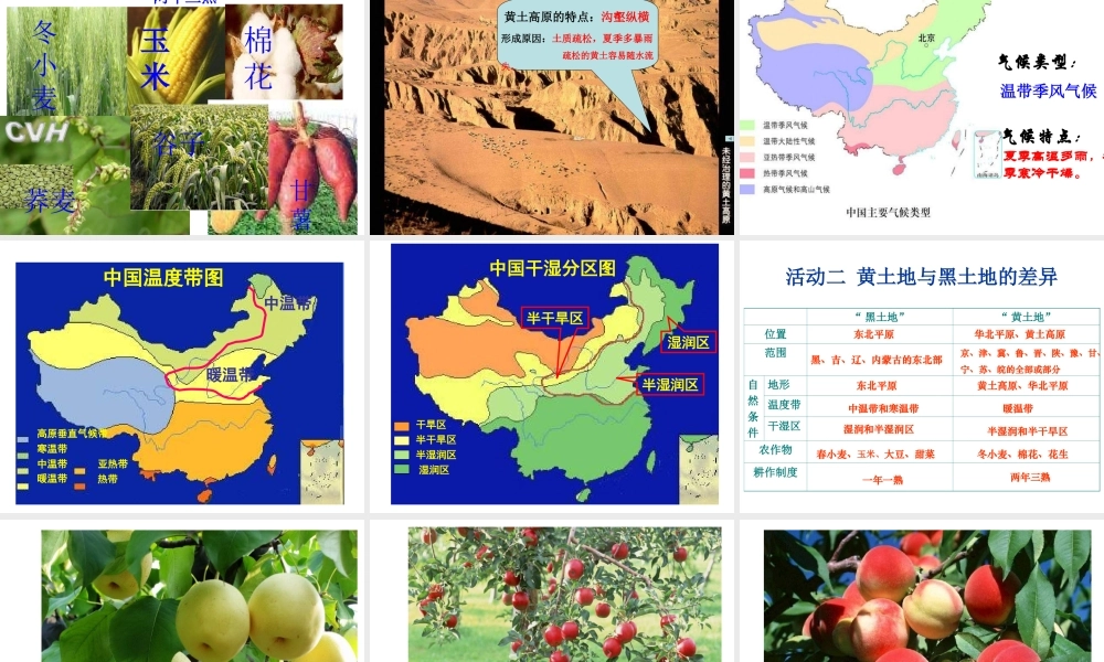 八年级地理下册 第五章 第一节 北方地区——黑土地和黄土地课件 粤教版-粤教版初中八年级下册地理课件