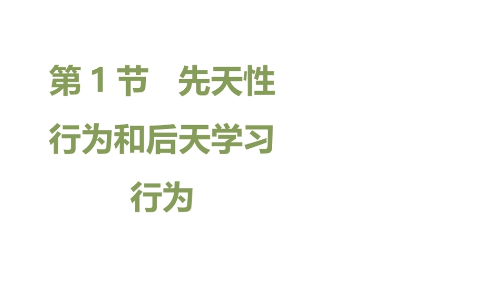 八年级生物上册 16.1 先天性行为和后天学习行为课件（2）（新版）北师大版-（新版）北师大版初中八年级上册生物课件