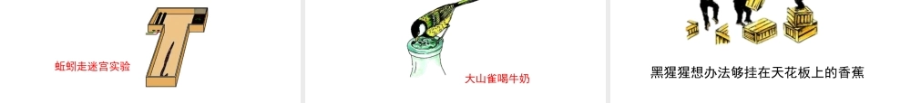 八年级生物上册 16.1 先天性行为和后天学习行为课件（2）（新版）北师大版-（新版）北师大版初中八年级上册生物课件