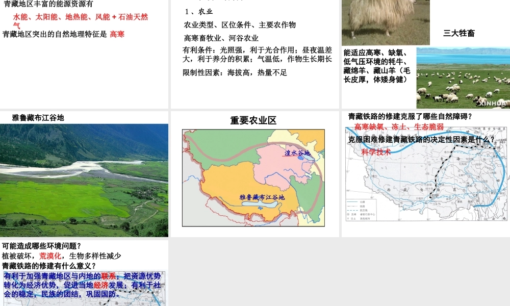 八年级地理下册《第九章 西藏地区》课件 （新版）新人教版-（新版）新人教版初中八年级下册地理课件