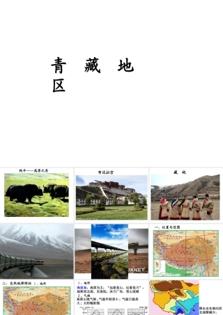八年级地理下册《第九章 西藏地区》课件 （新版）新人教版-（新版）新人教版初中八年级下册地理课件