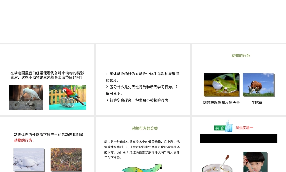 八年级生物上册 16.1 先天性行为和后天学习行为课件（2）（新版）北师大版-（新版）北师大级上册生物课件