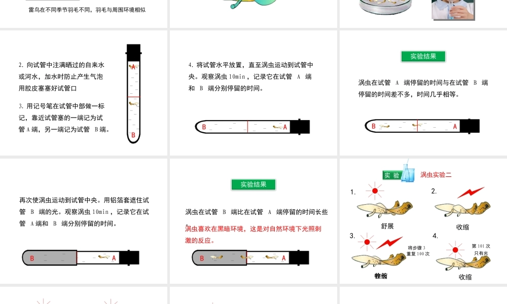 八年级生物上册 16.1 先天性行为和后天学习行为课件（2）（新版）北师大版-（新版）北师大级上册生物课件