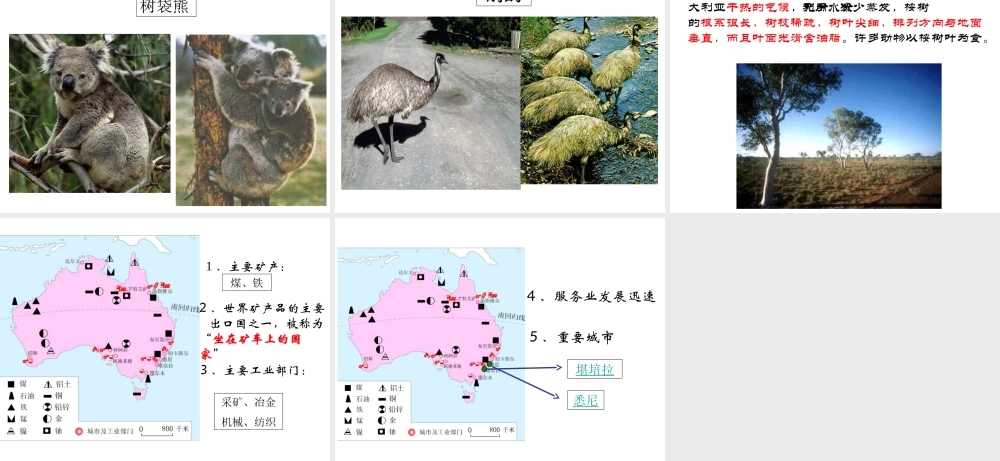 八年级地理下册 第七章 认识国家 第三节 澳大利亚课件 中图版