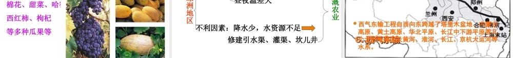 八年级地理下册《第六章 认识省级区域》复习课件 新人教版