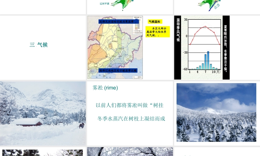 八年级地理下册 东北地区课件 粤教版