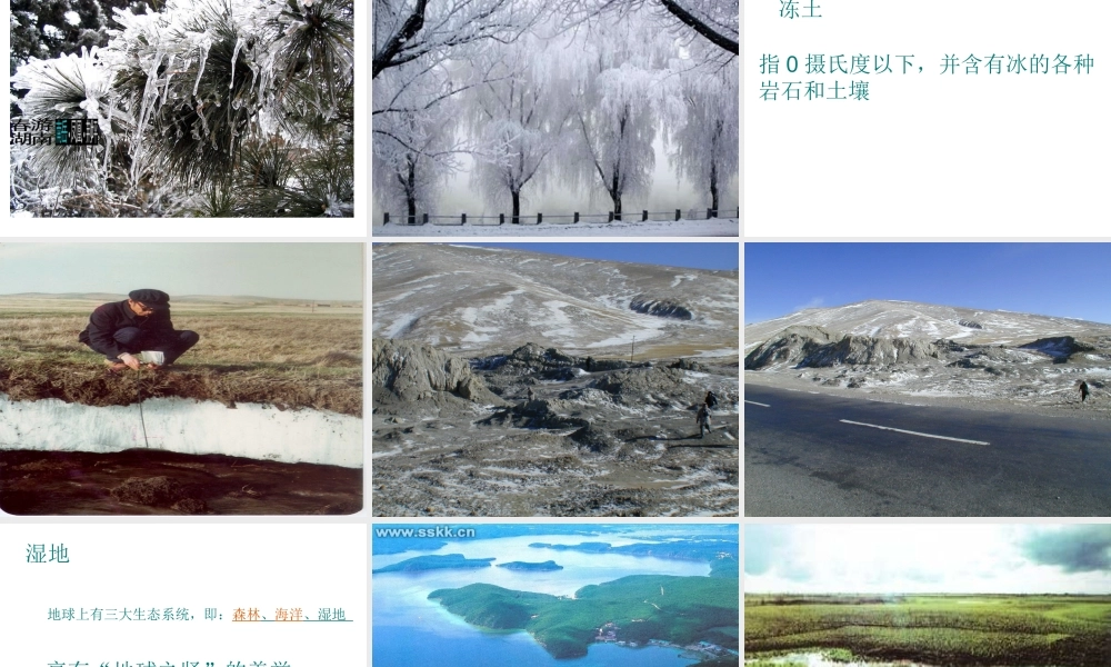 八年级地理下册 东北地区课件 粤教版