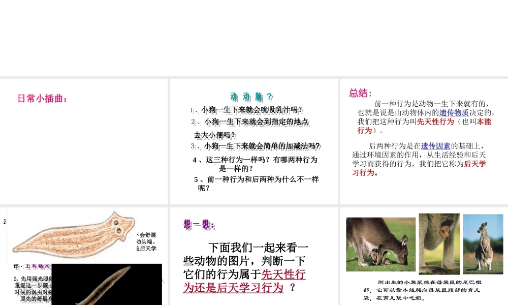 八年级生物上册 16.1《先天性行为和后天学习行为》课件1 （新版）北师大版-（新版）北师大级上册生物课件