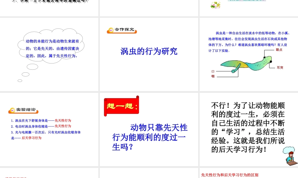 八年级生物上册 16.1《先天性行为和后天学习行为》课件2 （新版）北师大版-（新版）北师大版初中八年级上册生物课件