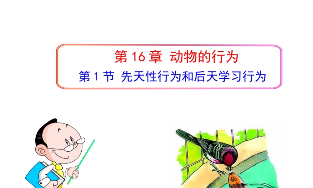八年级生物上册 16.1《先天性行为和后天学习行为》课件2 （新版）北师大版-（新版）北师大级上册生物课件
