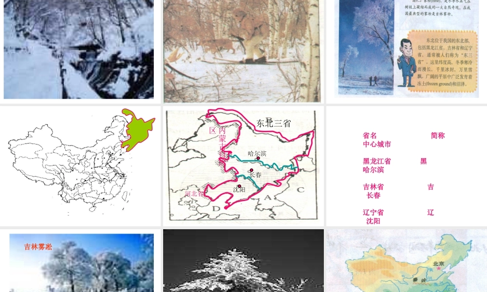 八年级地理下册 第六章 第1节《环境独特的地理单元——东北》课件1 粤教版-粤教版初中八年级下册地理课件