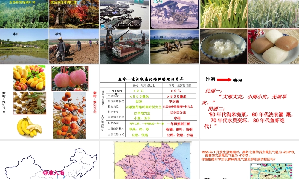 八年级地理下册 第五章 第一节 四大地理区域的划分课件 （新版）湘教版-（新版）湘教版初中八年级下册地理课件