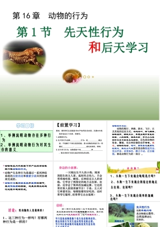 八年级生物上册 16.1《先天性行为和后天学习行为》课件3 （新版）北师大版-（新版）北师大版初中八年级上册生物课件