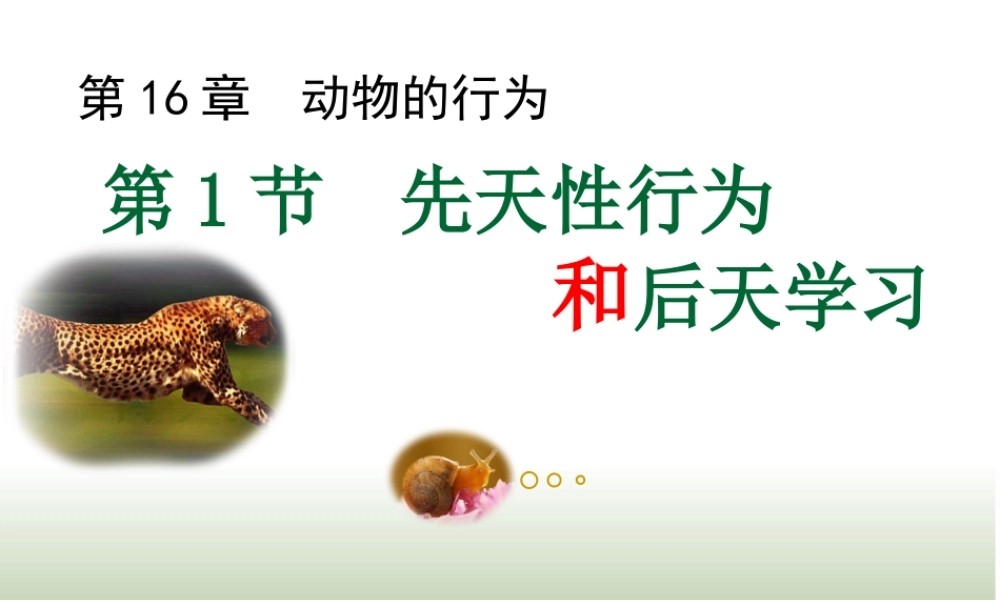八年级生物上册 16.1《先天性行为和后天学习行为》课件3 （新版）北师大版-（新版）北师大级上册生物课件