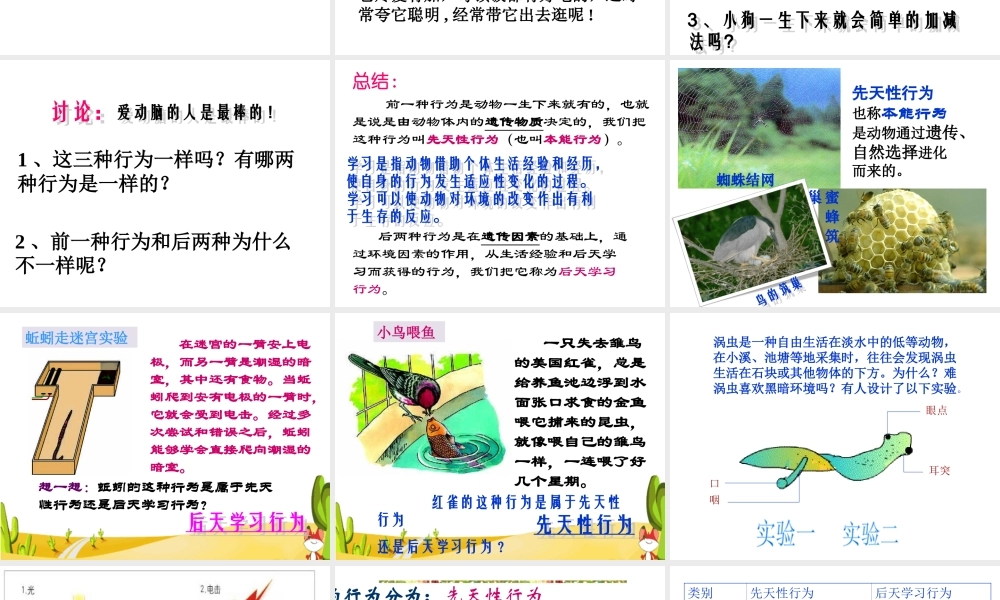 八年级生物上册 16.1《先天性行为和后天学习行为》课件3 （新版）北师大版-（新版）北师大级上册生物课件