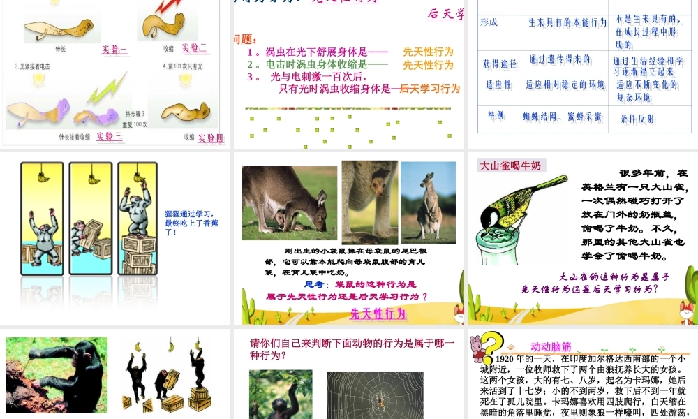 八年级生物上册 16.1《先天性行为和后天学习行为》课件3 （新版）北师大版-（新版）北师大级上册生物课件