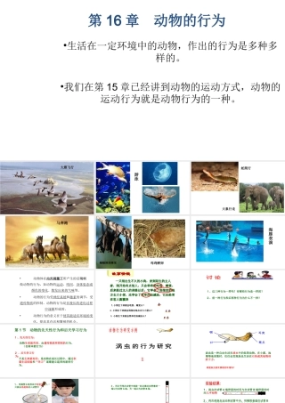 八年级生物上册 16.1《先天性行为和后天学习行为》课件5 （新版）北师大版-（新版）北师大版初中八年级上册生物课件