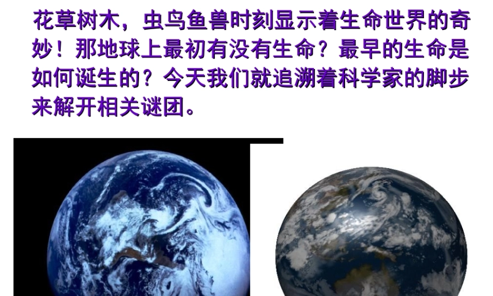 八年级生物上册 16.1生命的诞生课件 （新版）苏教版-（新版）苏教版初中八年级上册生物课件