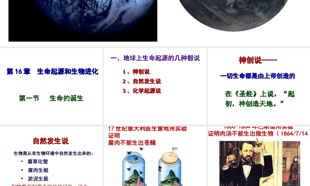 八年级生物上册 16.1生命的诞生课件 （新版）苏教版-（新版）苏教版初中八年级上册生物课件
