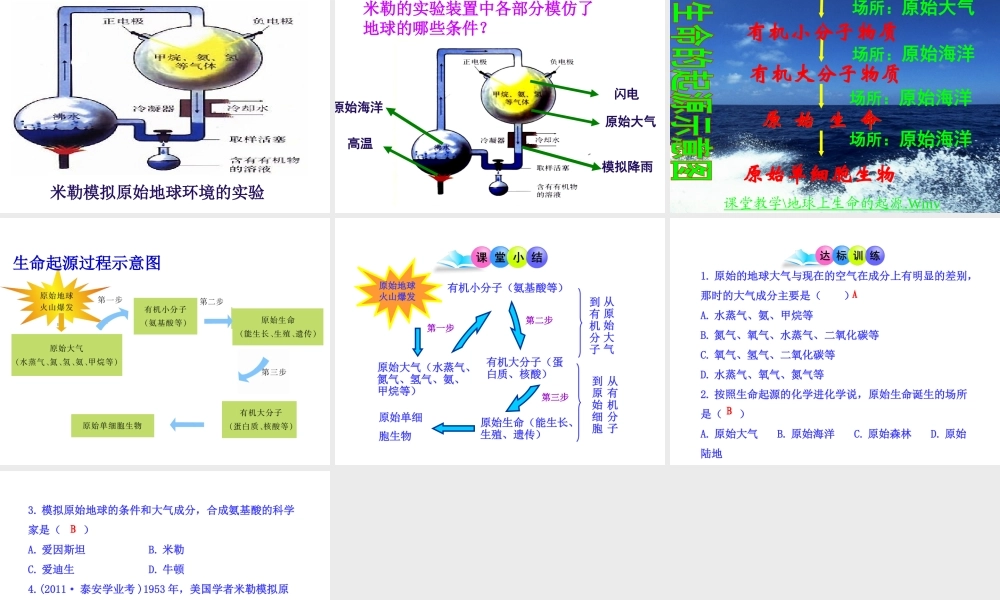 八年级生物上册 16.1生命的诞生课件 （新版）苏教版-（新版）苏教版初中八年级上册生物课件