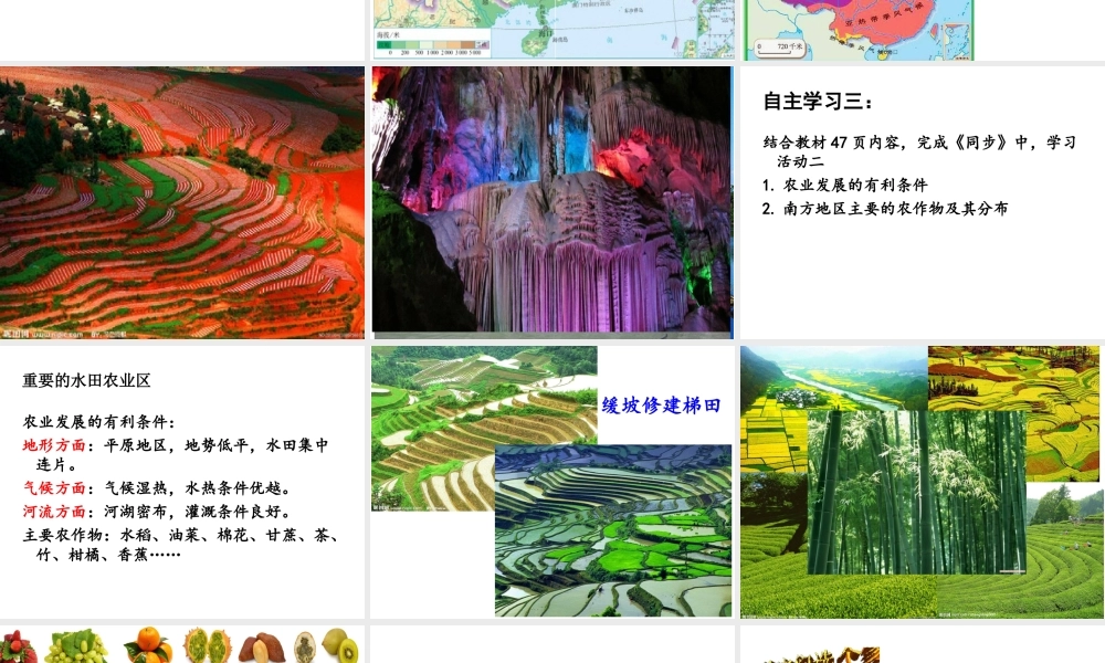 八年级地理下册 南方地区自然特征课件 新人教版