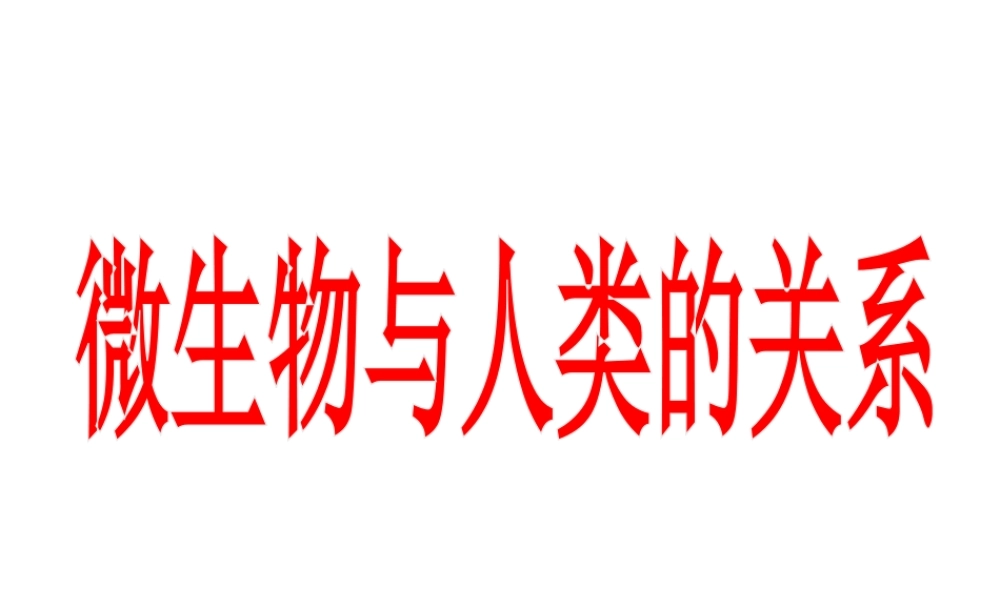 八年级生命科学下册 第4章 第3节 微生物 微生物与人类的关系课件 上海版-上海版初中八年级下册自然科学课件