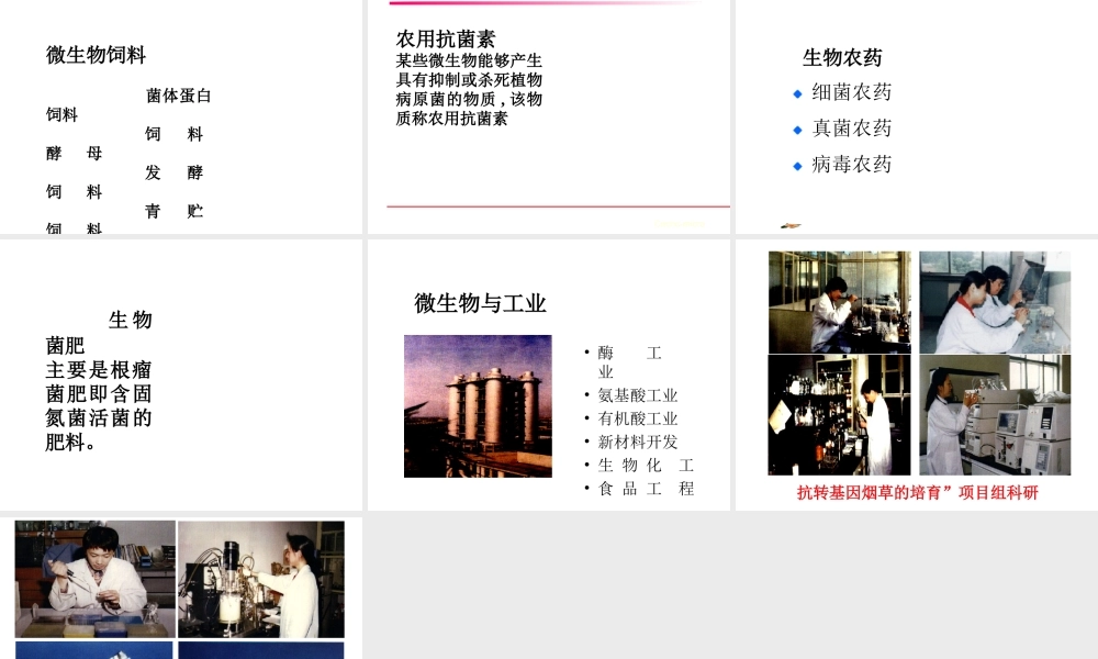 八年级生命科学下册 第4章 第3节 微生物 微生物与人类的关系课件 上海版-上海版初中八年级下册自然科学课件