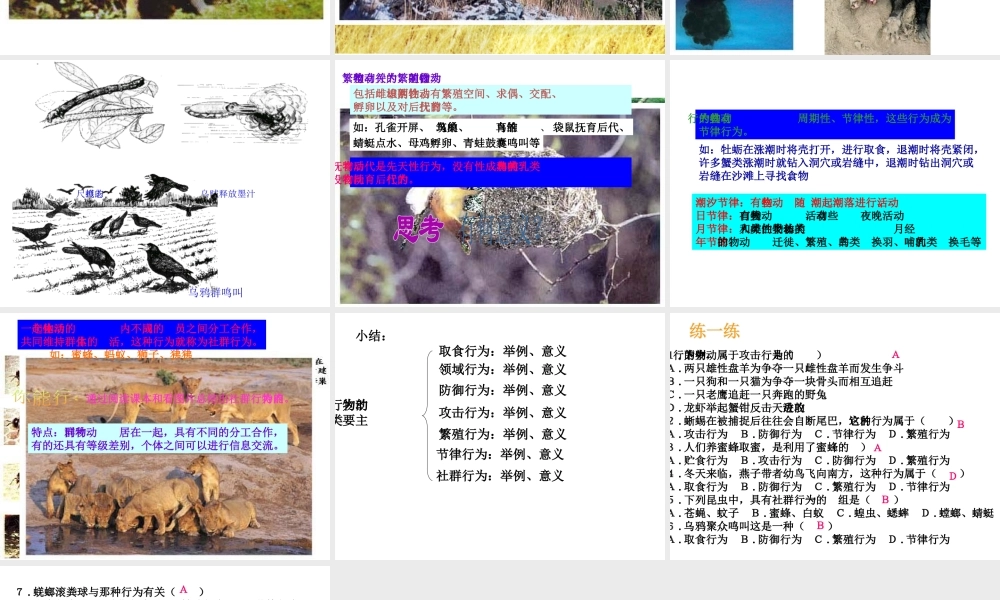 八年级生物上册 16.2 动物行为的主要类型课件 北师大版