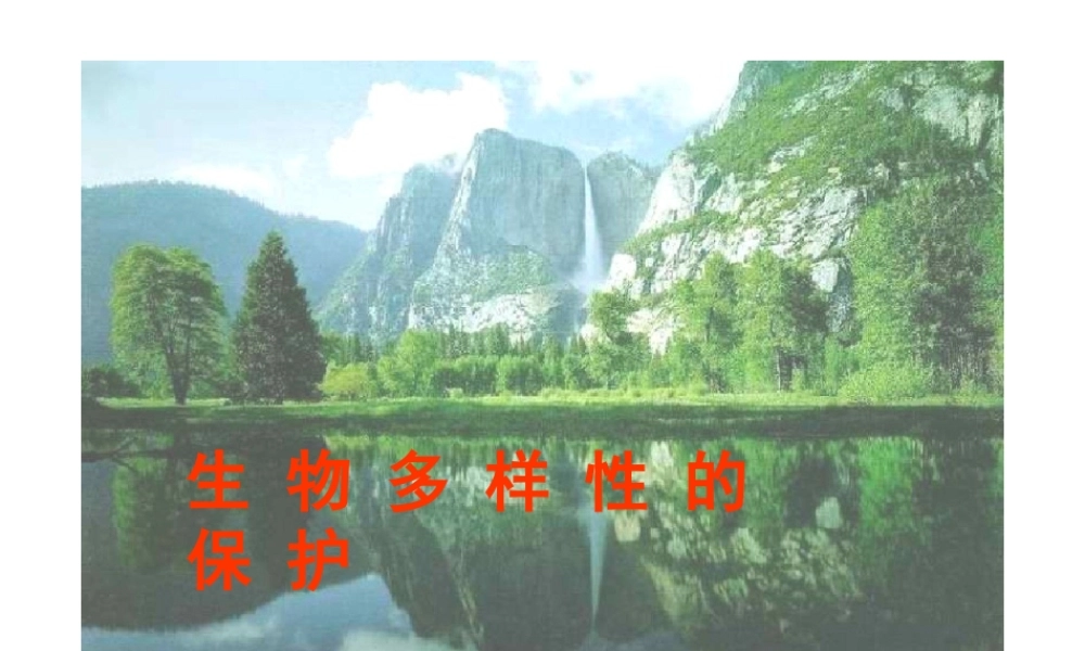八年级生物 6.2.2生物多样性的保护课件