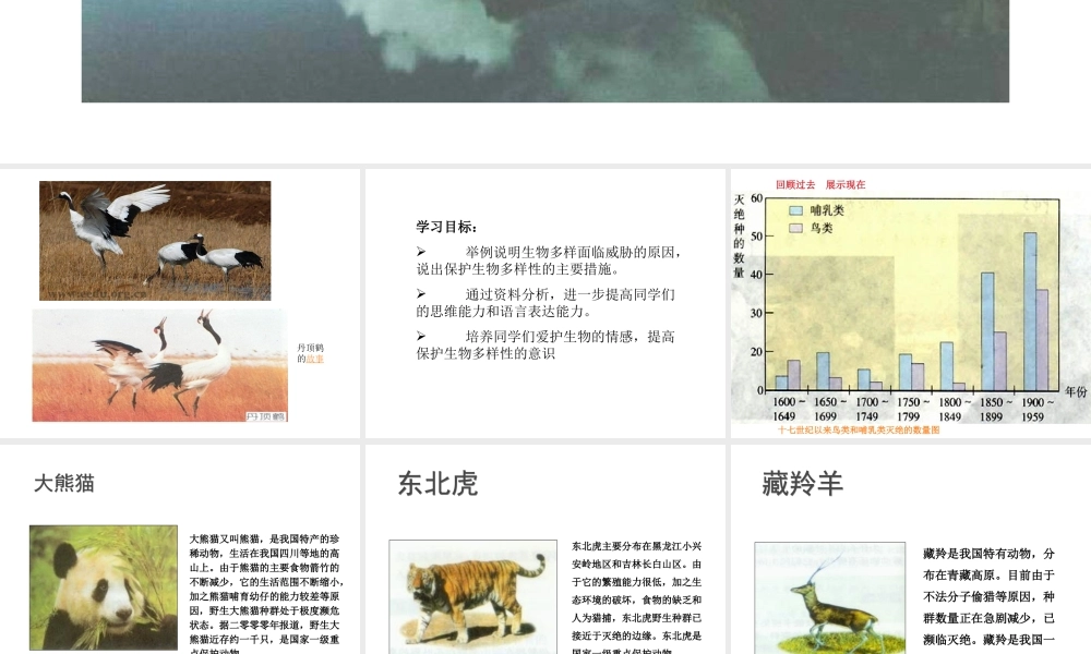 八年级生物 6.2.2生物多样性的保护课件