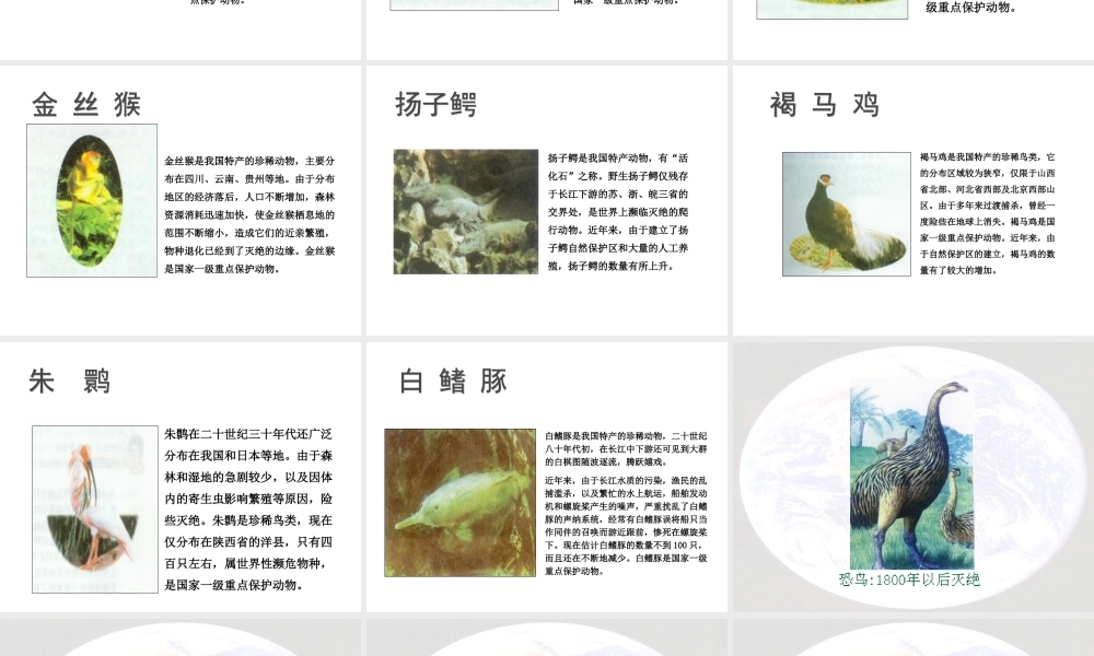 八年级生物 6.2.2生物多样性的保护课件