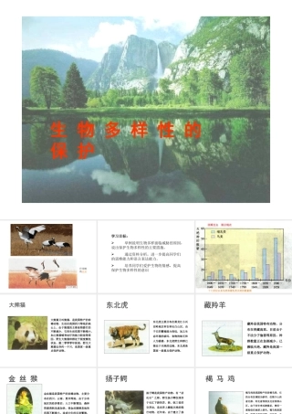 八年级生物 6.2.2生物多样性的保护课件