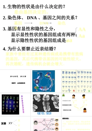 八年级生物 的遗传和变异之人的性别遗传课件 苏教版