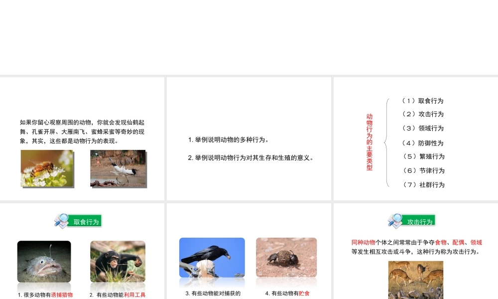 八年级生物上册 16.2 动物行为的主要类型课件（1）（新版）北师大版