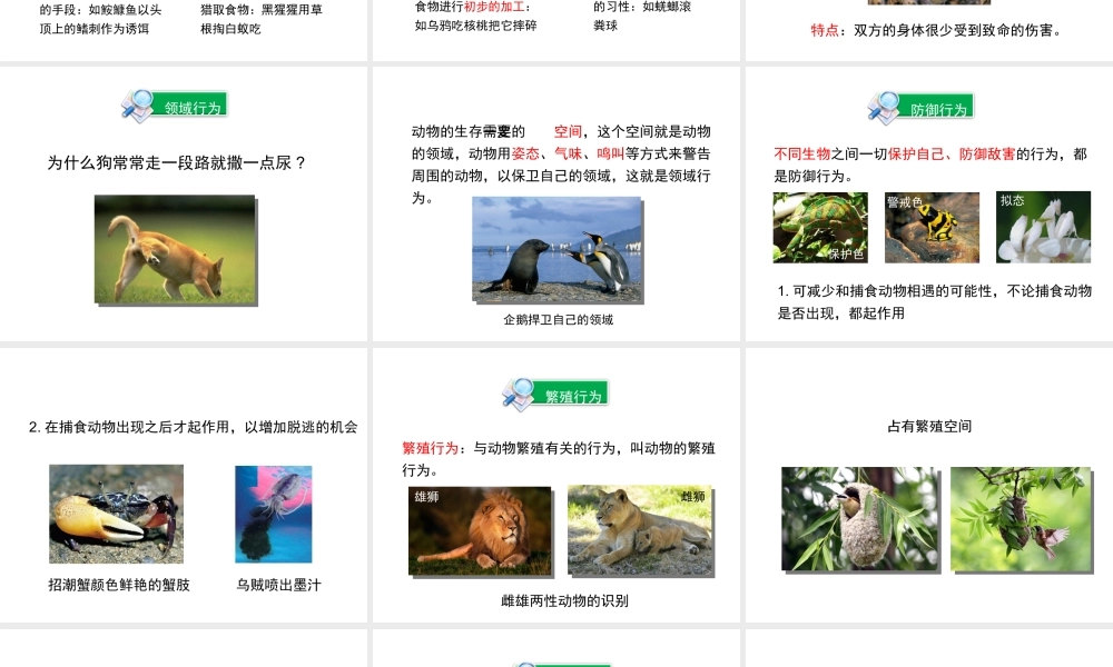 八年级生物上册 16.2 动物行为的主要类型课件（1）（新版）北师大版