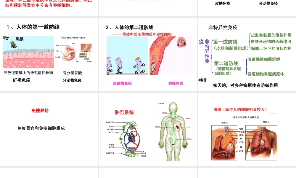 八年级生物 第二节 免疫与计划免疫课件 人教新课标版 